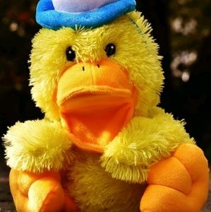 Meet your Posher, Roxanne